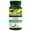 Herbaya Sterole roślinne prawidłowy poziom cholesterolu, kapsułki, 60 szt.